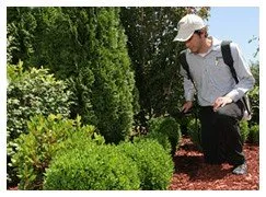 Expert landscape design in Valley Park, MO by Lawn Doctor