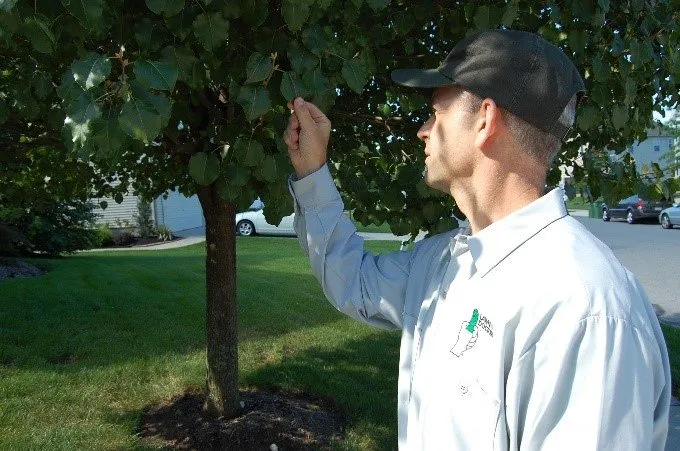 Custom residential landscaping in Valley Park, MO by Lawn Doctor