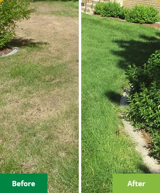 Affordable yard maintenance experts serving Valley Park, MO - Lawn Doctor