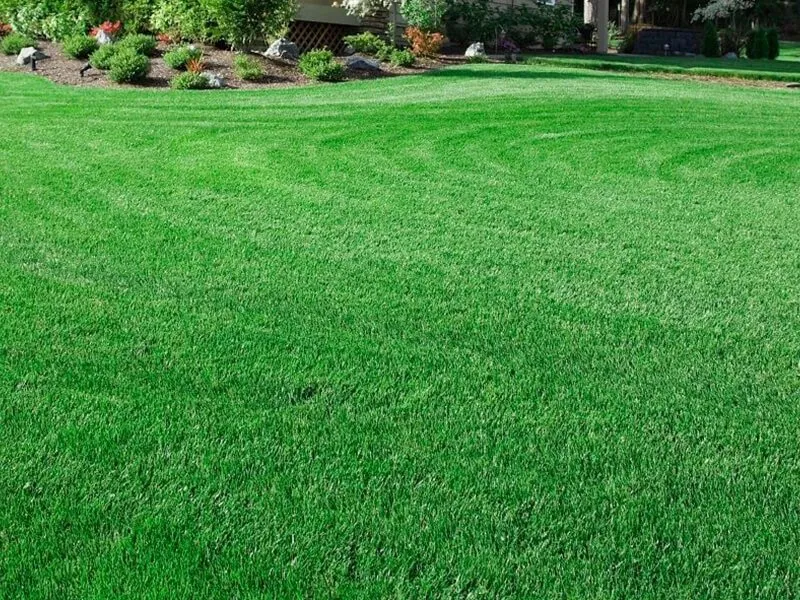 Professional landscape installation in Valley Park, MO by Lawn Doctor