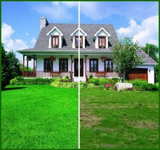 Top-rated lawn care service with custom design across Valley Park, MO - Lawn Doctor