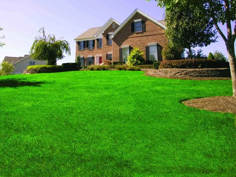 Expert residential landscaping for outdoor upgrades in Valley Park, MO by Lawn Doctor