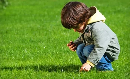 Reliable garden landscaping in Vienna, VA by Lawn Doctor