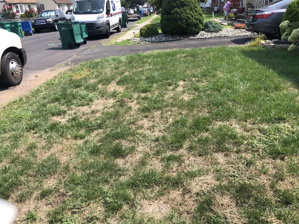 Trusted landscaping services in Warminster, PA by Lawn Doctor
