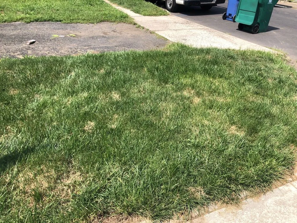 Trusted outdoor landscaping in Warminster, PA - Lawn Doctor