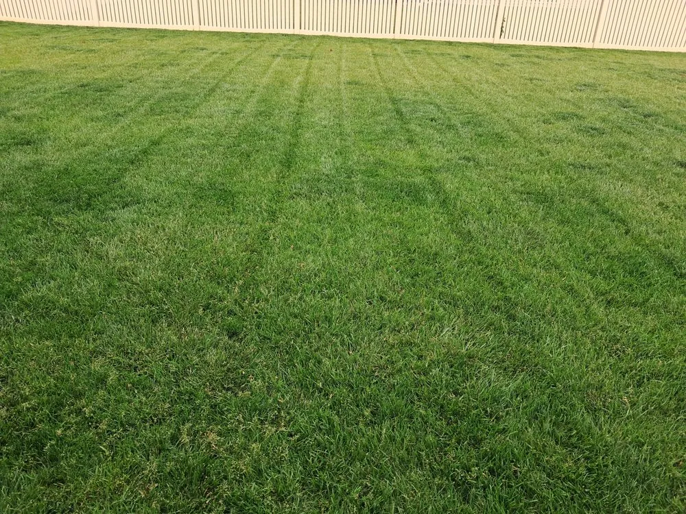 Local lawn care service in Waverly, NE by Lawn Doctor