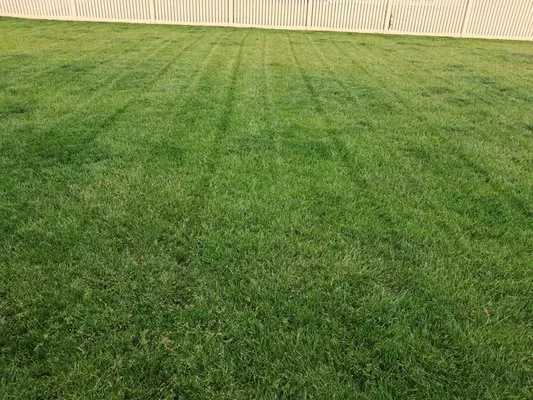 Lawn Doctor
