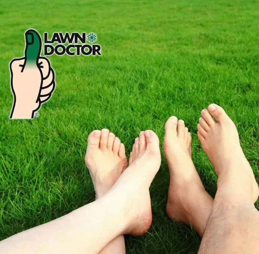 Affordable residential landscaping in Westlake, OH - Lawn Doctor