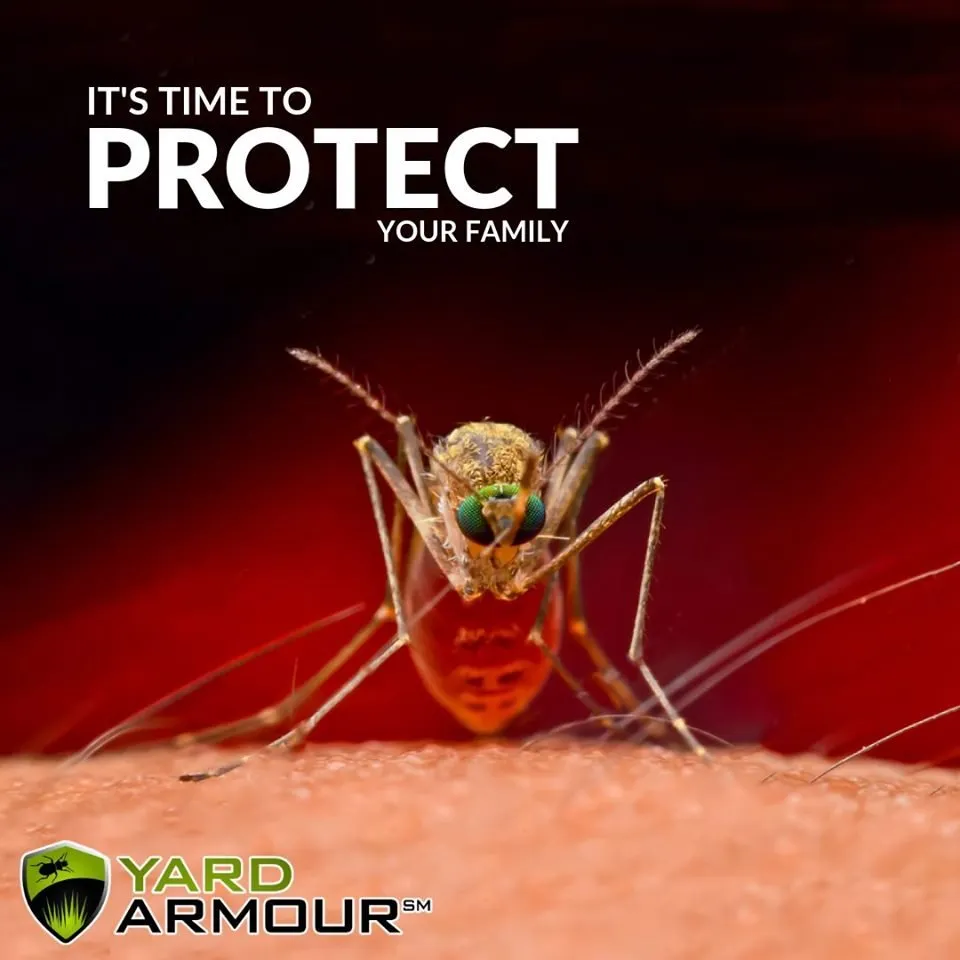 Custom lawn mowing service in Westlake, OH - Lawn Doctor