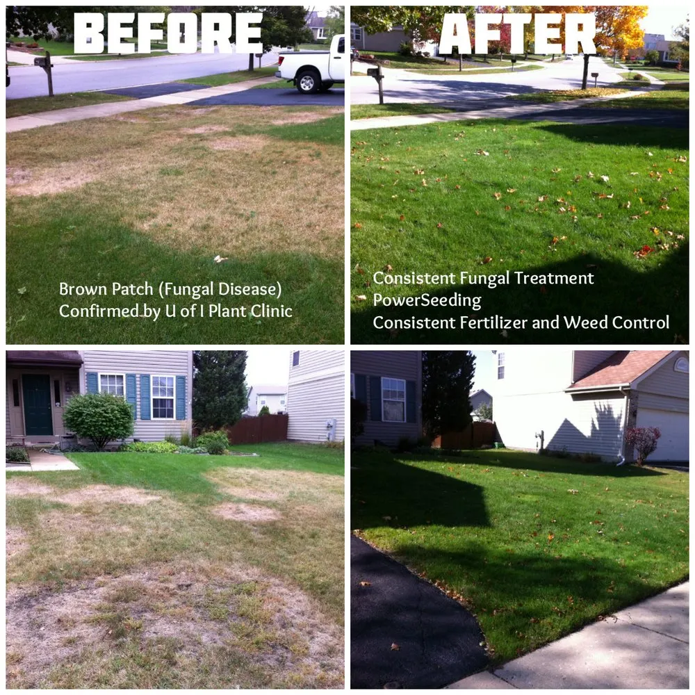 Trusted landscaping services in Wheaton, IL by Lawn Doctor