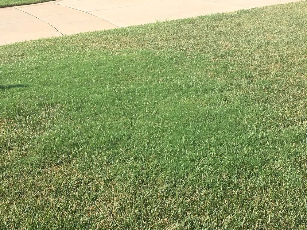 Expert garden landscaping with custom design across Wichita, KS - Lawn Doctor