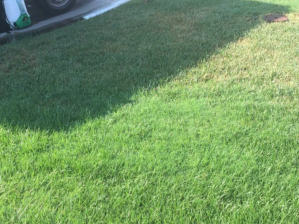 Professional lawn care service experts serving Wichita, KS - Lawn Doctor