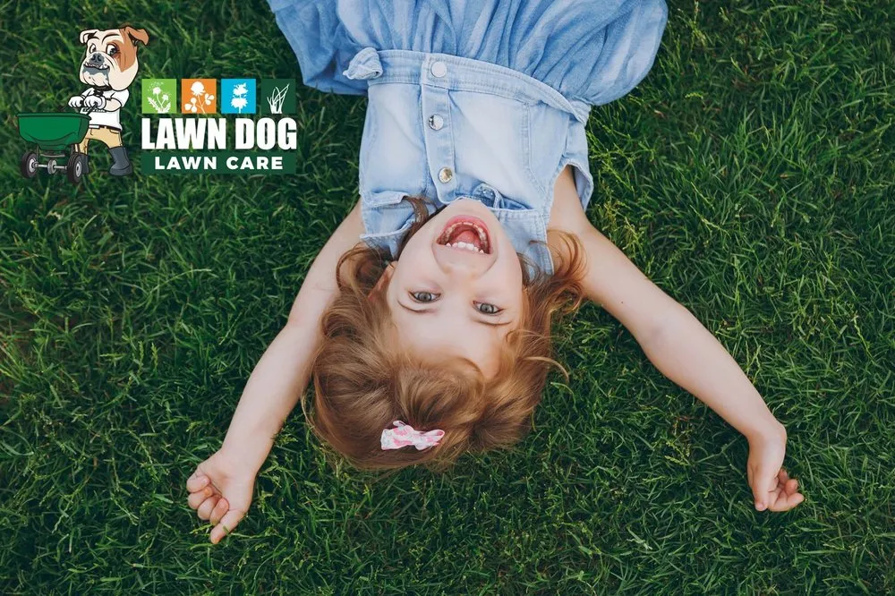 Local lawn mowing service for beautiful yards in Caseyville, IL by Lawn Dog Lawn Care