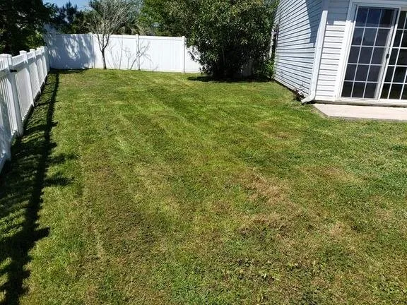 Expert lawn care service experts serving Myrtle Beach, SC - Lawn Dog Yard Services