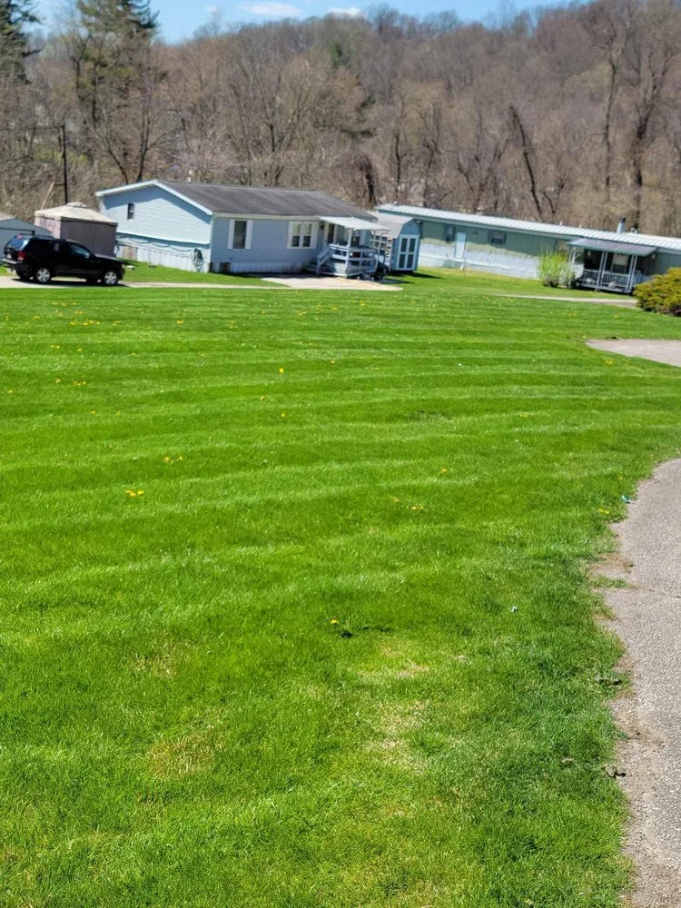 Affordable yard maintenance experts serving West Newton, PA - Lawn Dogs