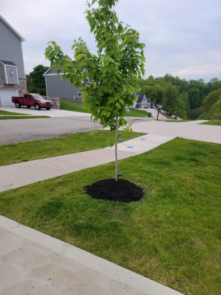 Expert landscape design in West Newton, PA by Lawn Dogs