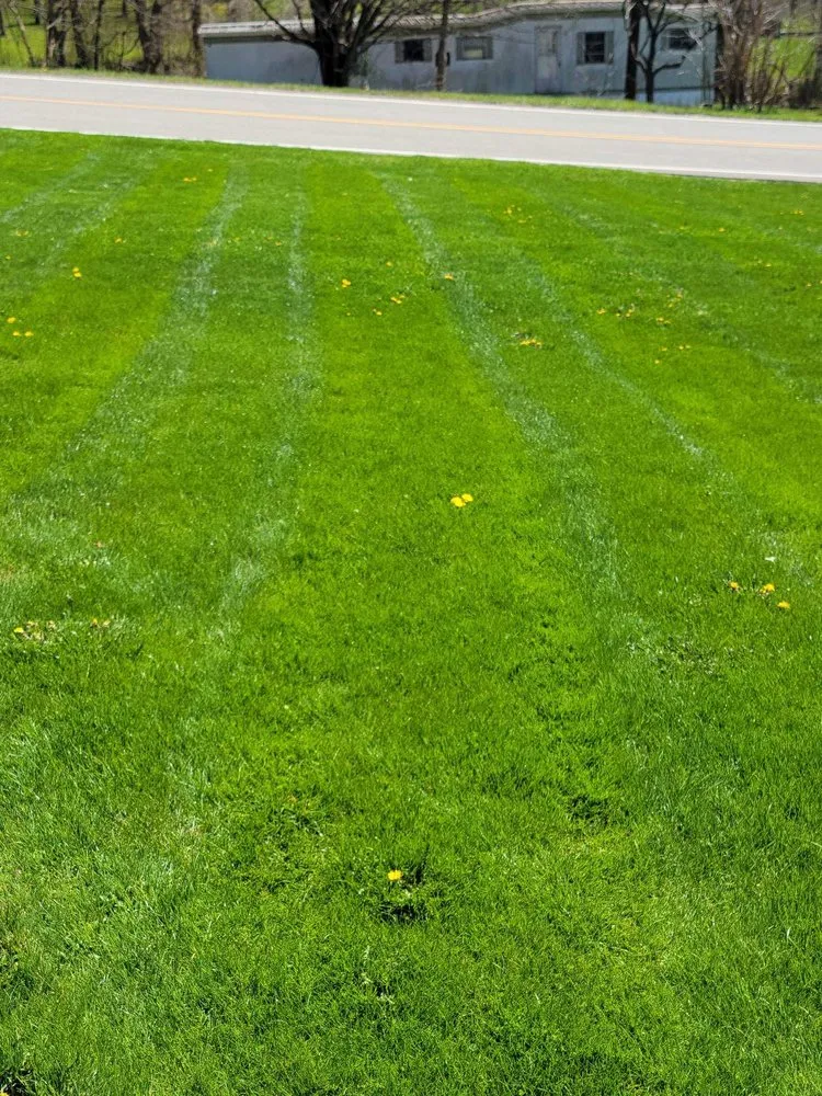 Reliable landscape installation near you across West Newton, PA - Lawn Dogs