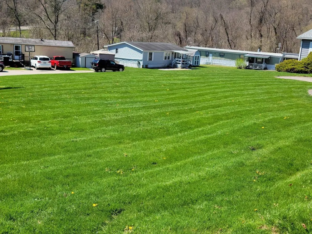 Trusted landscaping services in West Newton, PA by Lawn Dogs