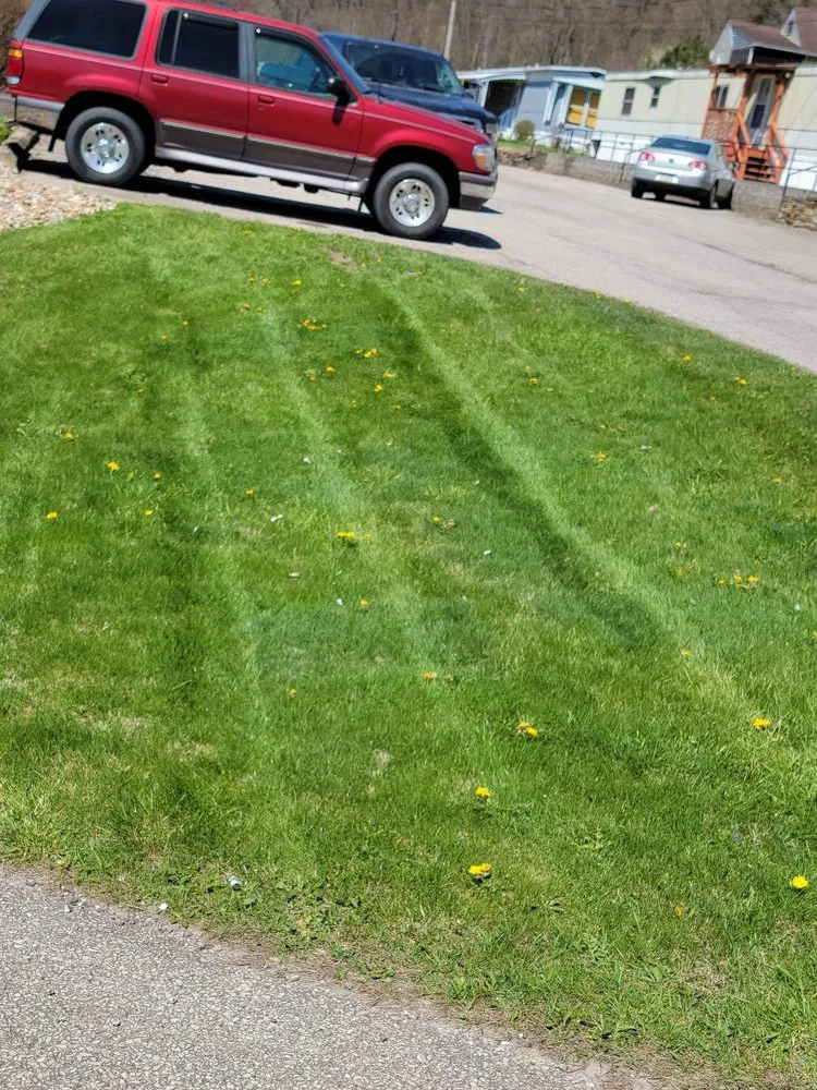 Affordable outdoor landscaping experts serving West Newton, PA - Lawn Dogs