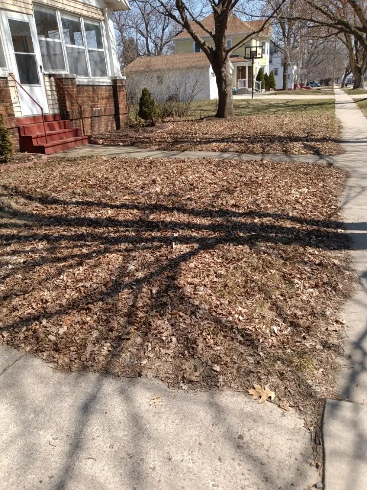 Trusted lawn care service near you in Williamsburg, IA by Lawn Dogs