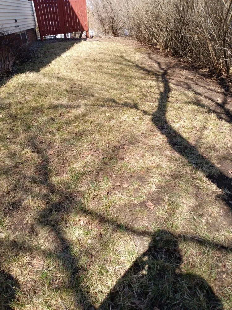 Expert landscape installation in Williamsburg, IA - Lawn Dogs