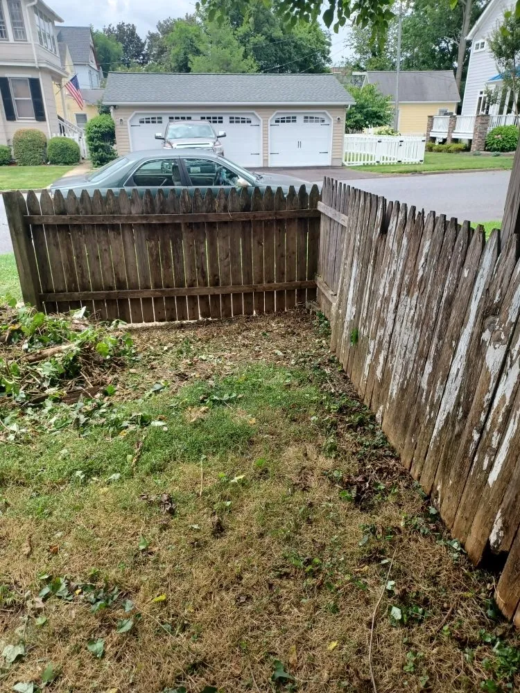 Affordable lawn care service for residential properties across Havre de Grace, MD - Lawn DogZ