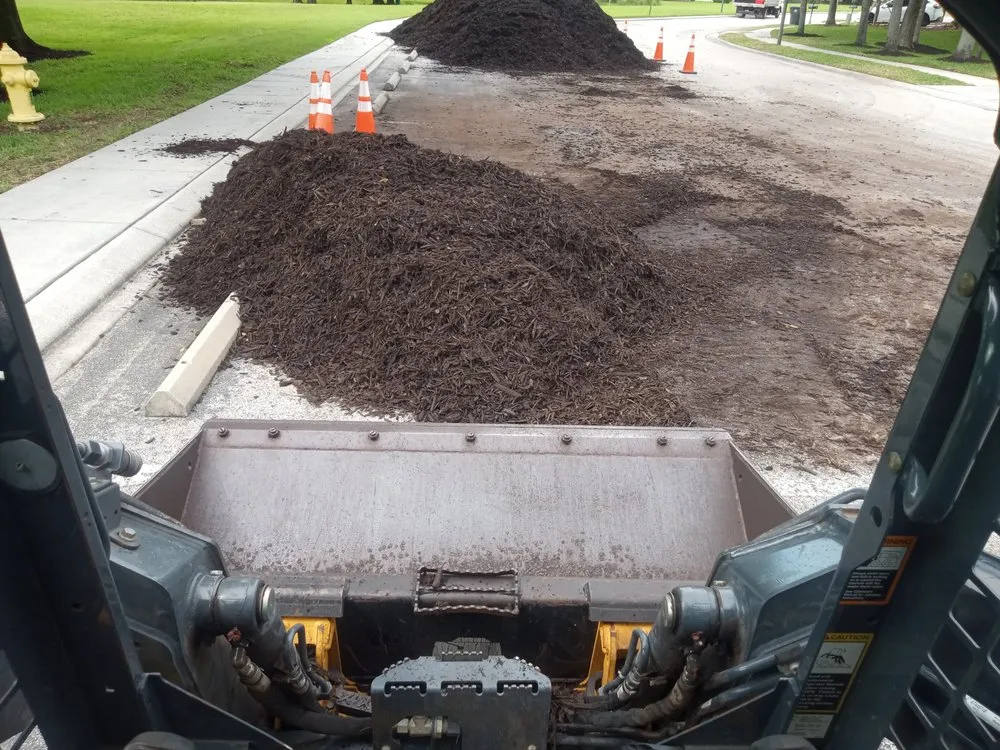 Affordable yard cleanup service in Port Richey, FL - Lawn Dogz Landscape and Irrigation