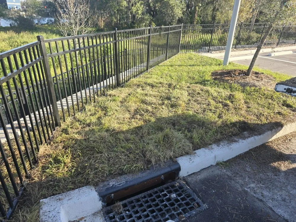 Expert landscape design in Port Richey, FL by Lawn Dogz Landscape and Irrigation