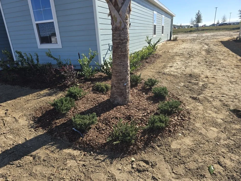 Affordable lawn care service in Port Richey, FL by Lawn Dogz Landscape and Irrigation