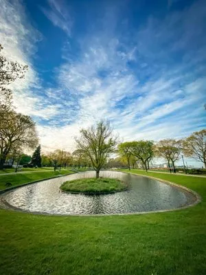 Lawn Dogz Landscape and Irrigation Logo