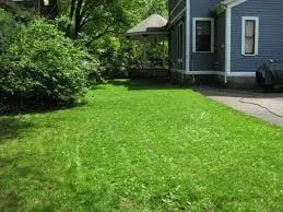 Local garden landscaping experts serving San Antonio, TX - Lawn Dons