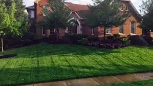Reliable landscape installation for residential properties across San Antonio, TX - Lawn Dons