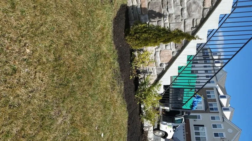 Trusted lawn care service in Dale City, VA - Lawn Dude Lawn Maintenance