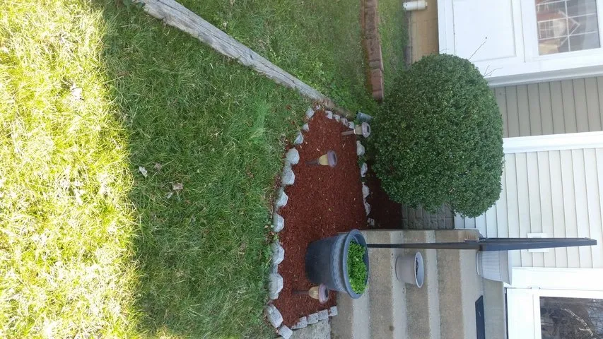 Top-rated yard maintenance with custom design in Dale City, VA by Lawn Dude Lawn Maintenance