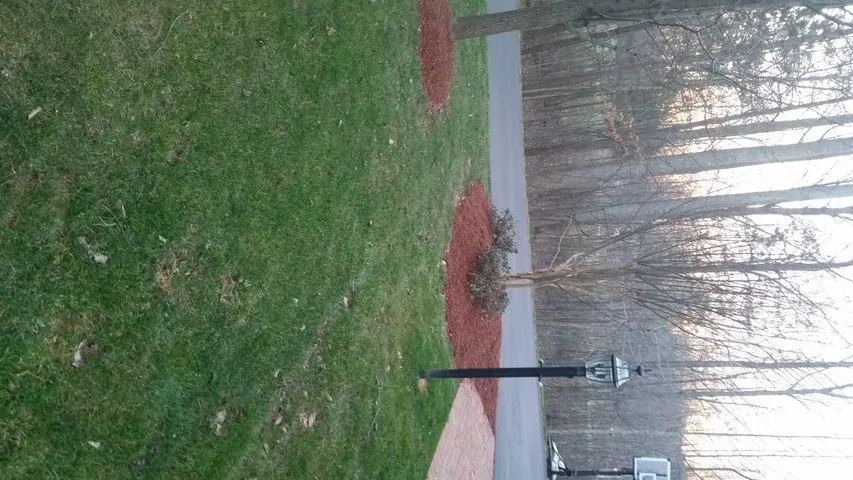 Reliable lawn mowing service for outdoor upgrades across Dale City, VA - Lawn Dude Lawn Maintenance