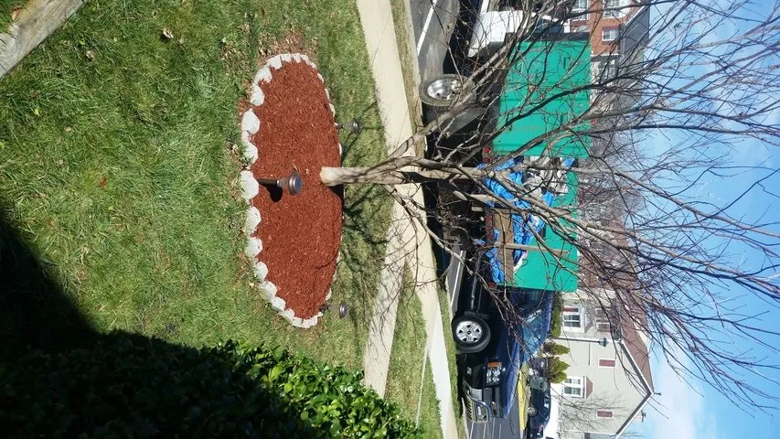 Custom lawn care service with custom design across Dale City, VA - Lawn Dude Lawn Maintenance