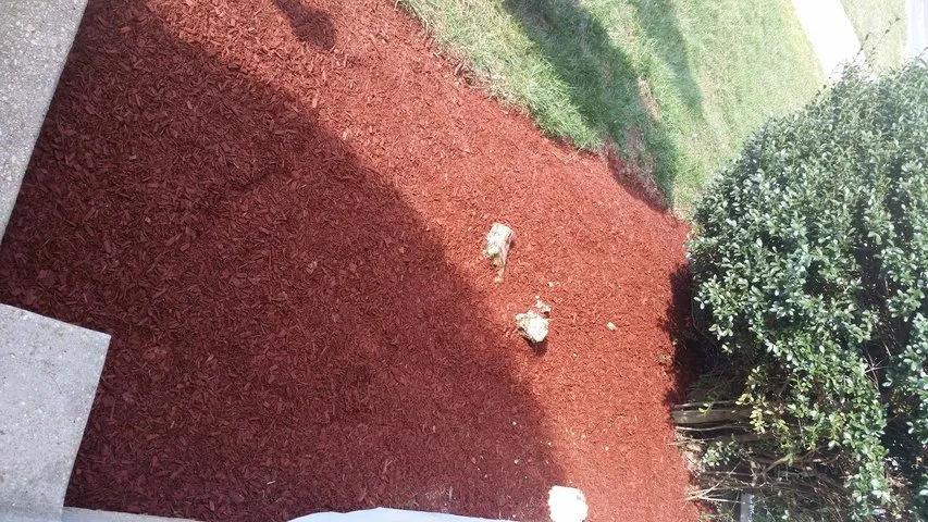 Local landscaping services for outdoor upgrades across Dale City, VA - Lawn Dude Lawn Maintenance