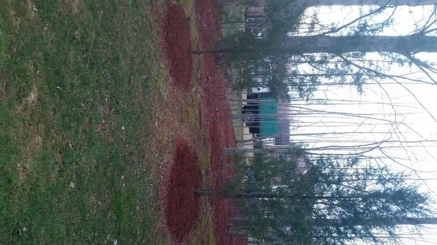 Professional yard cleanup service in Dale City, VA by Lawn Dude Lawn Maintenance