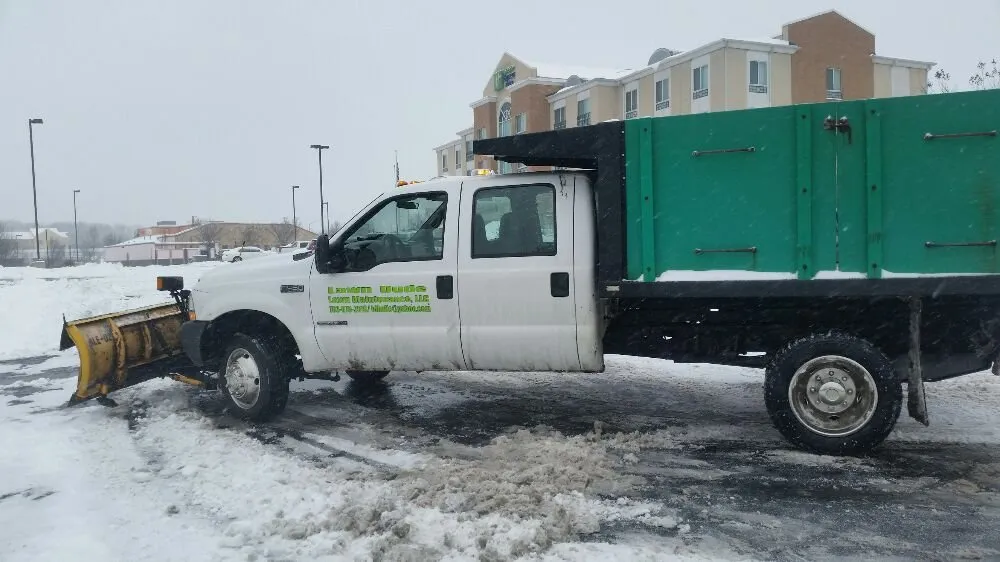 Professional yard cleanup service experts serving Dale City, VA - Lawn Dude Lawn Maintenance