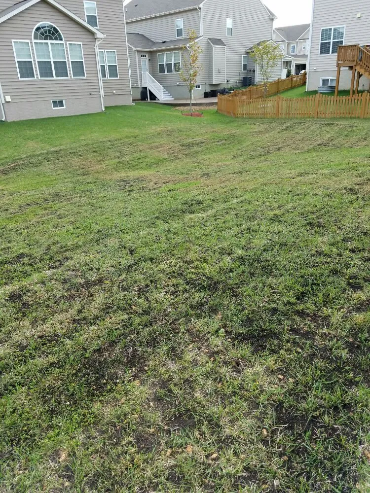 Reliable garden landscaping for year-round maintenance in Dale City, VA by Lawn Dude Lawn Maintenance