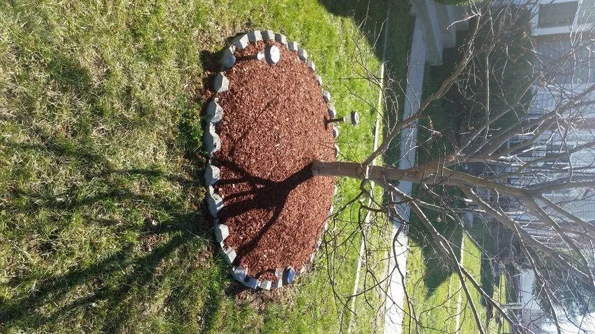 Reliable yard maintenance in Dale City, VA - Lawn Dude Lawn Maintenance