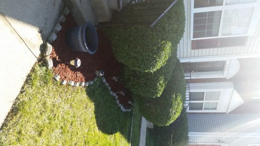 Top-rated garden landscaping in Dale City, VA by Lawn Dude Lawn Maintenance