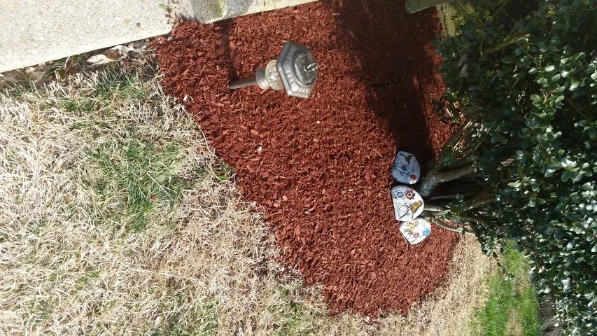 Top-rated yard cleanup service in Dale City, VA by Lawn Dude Lawn Maintenance