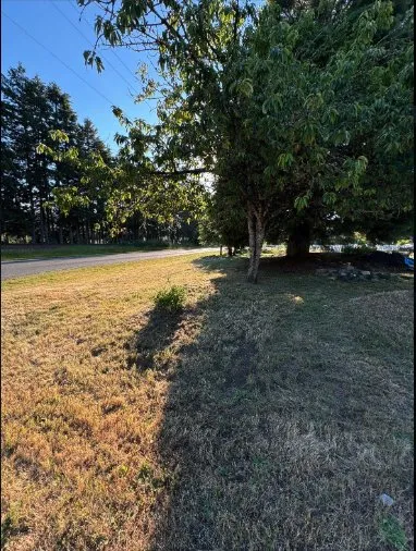 Local yard cleanup service in Lacey, WA by Lawn Dudes