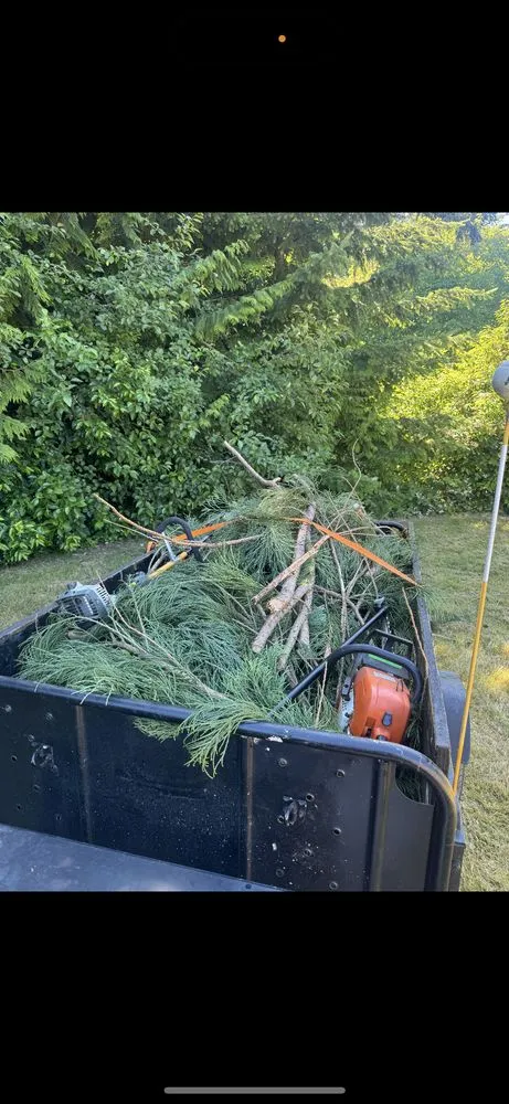 Affordable yard maintenance for outdoor upgrades across Lacey, WA - Lawn Dudes