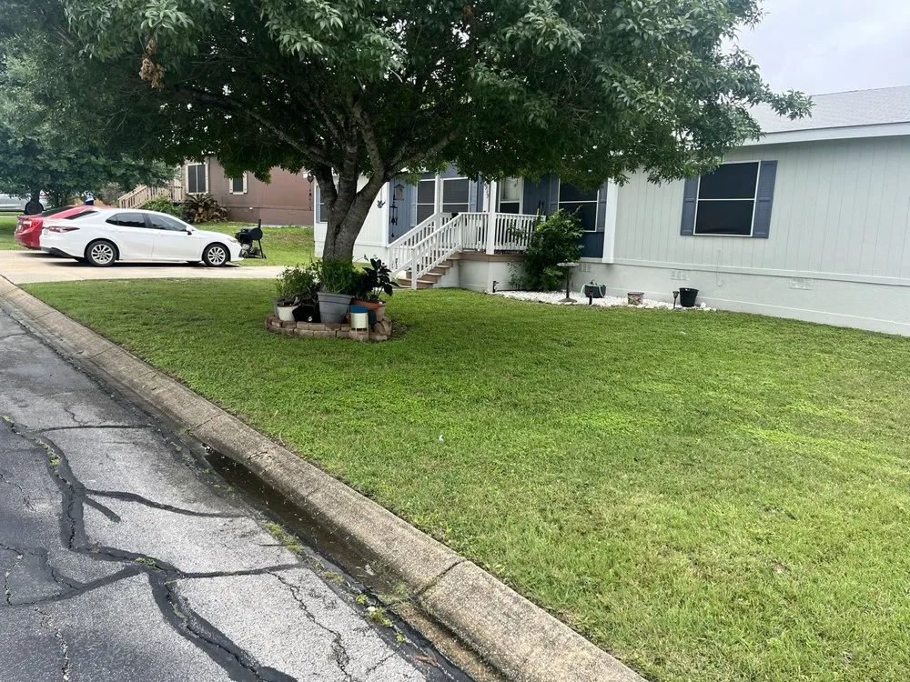 Custom landscape design in San Antonio, TX - Lawn Ellivation