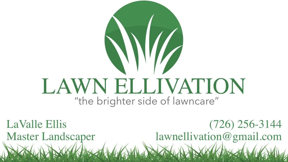 Professional lawn care service experts serving San Antonio, TX - Lawn Ellivation