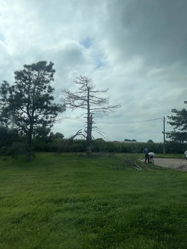 Expert yard cleanup service experts serving Hastings, NE - Lawn Enforcement & Landscape