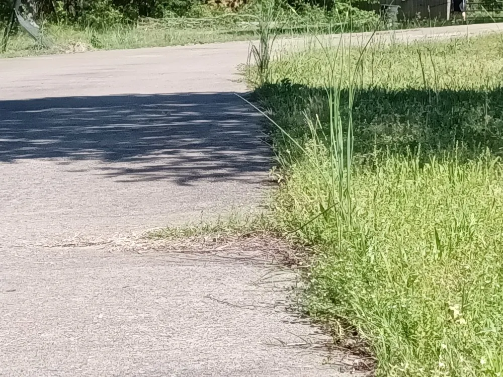 Reliable outdoor landscaping in benton, AR by Lawn Enforcement