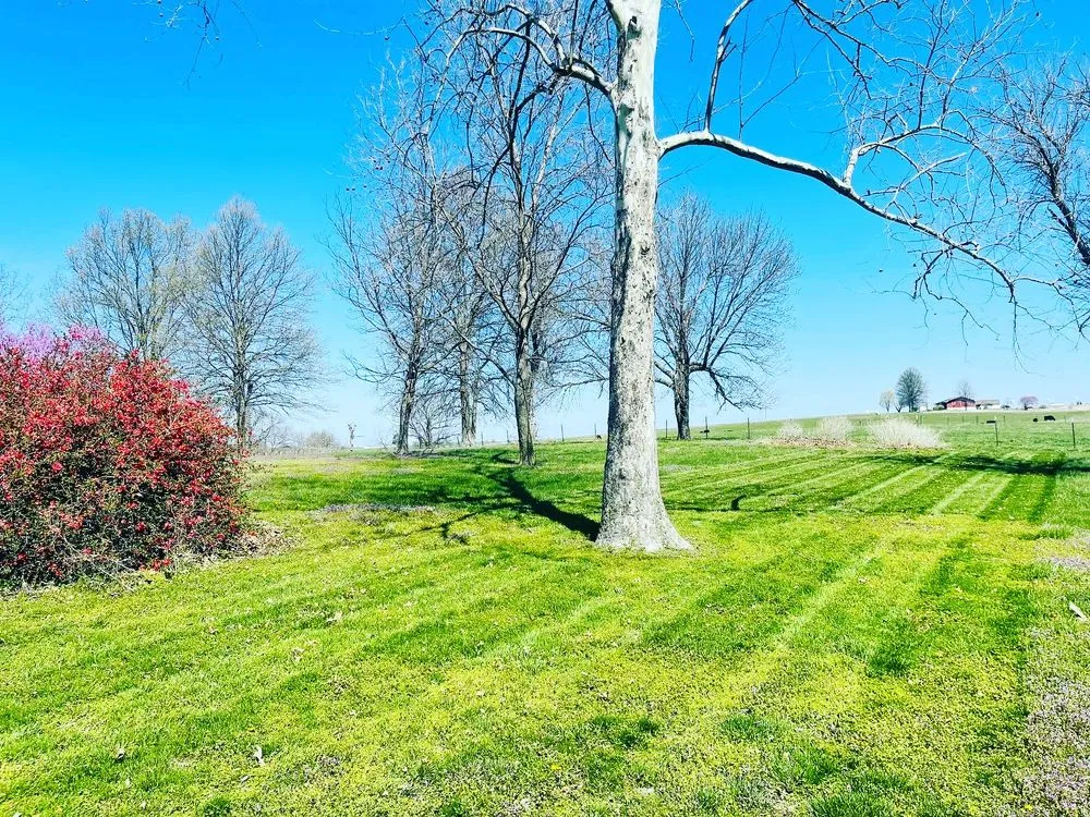 Expert outdoor landscaping in Warrensburg, MO by Lawn Enforcement Burg